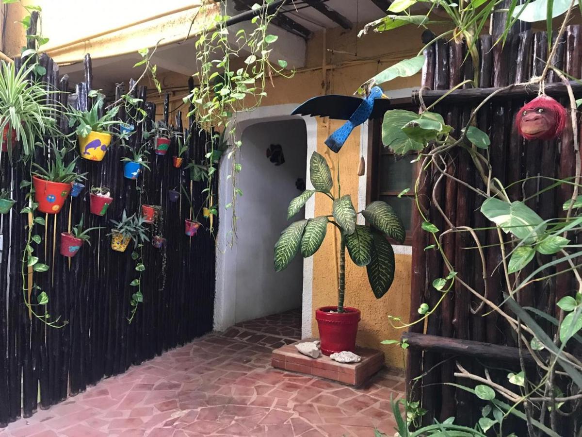 Maison Tulum Exteriör bild