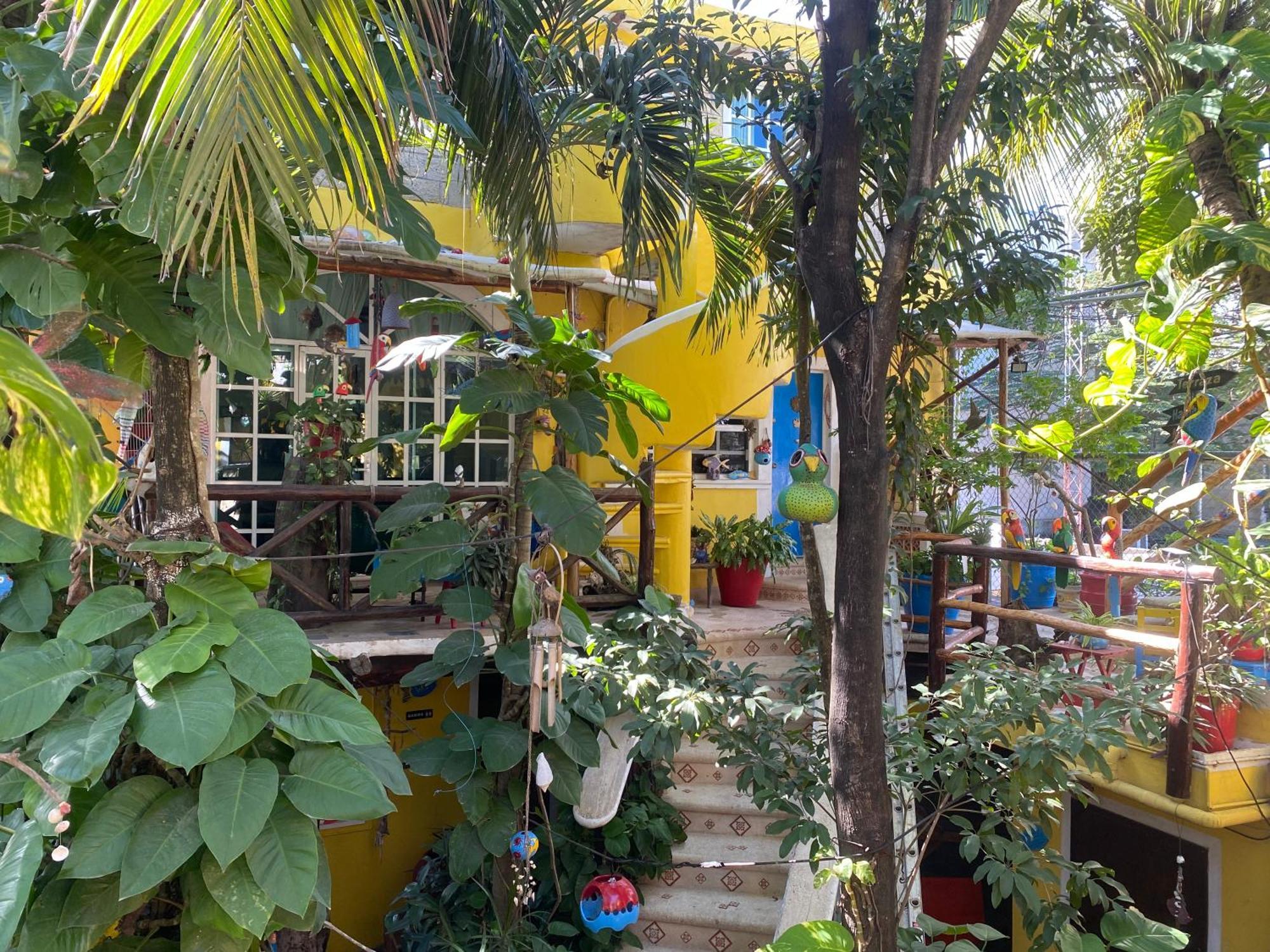 Maison Tulum Exteriör bild